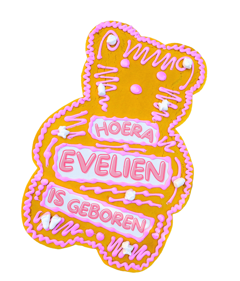 Spakenburgs Hart (Feestkoek) - Teddybear roze 2