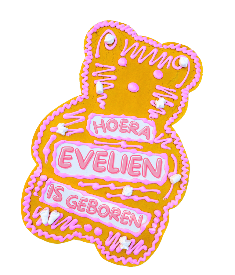 Spakenburgs Hart (Feestkoek) - Teddybear roze 2